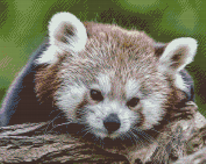 Diamond Painting - Red Panda