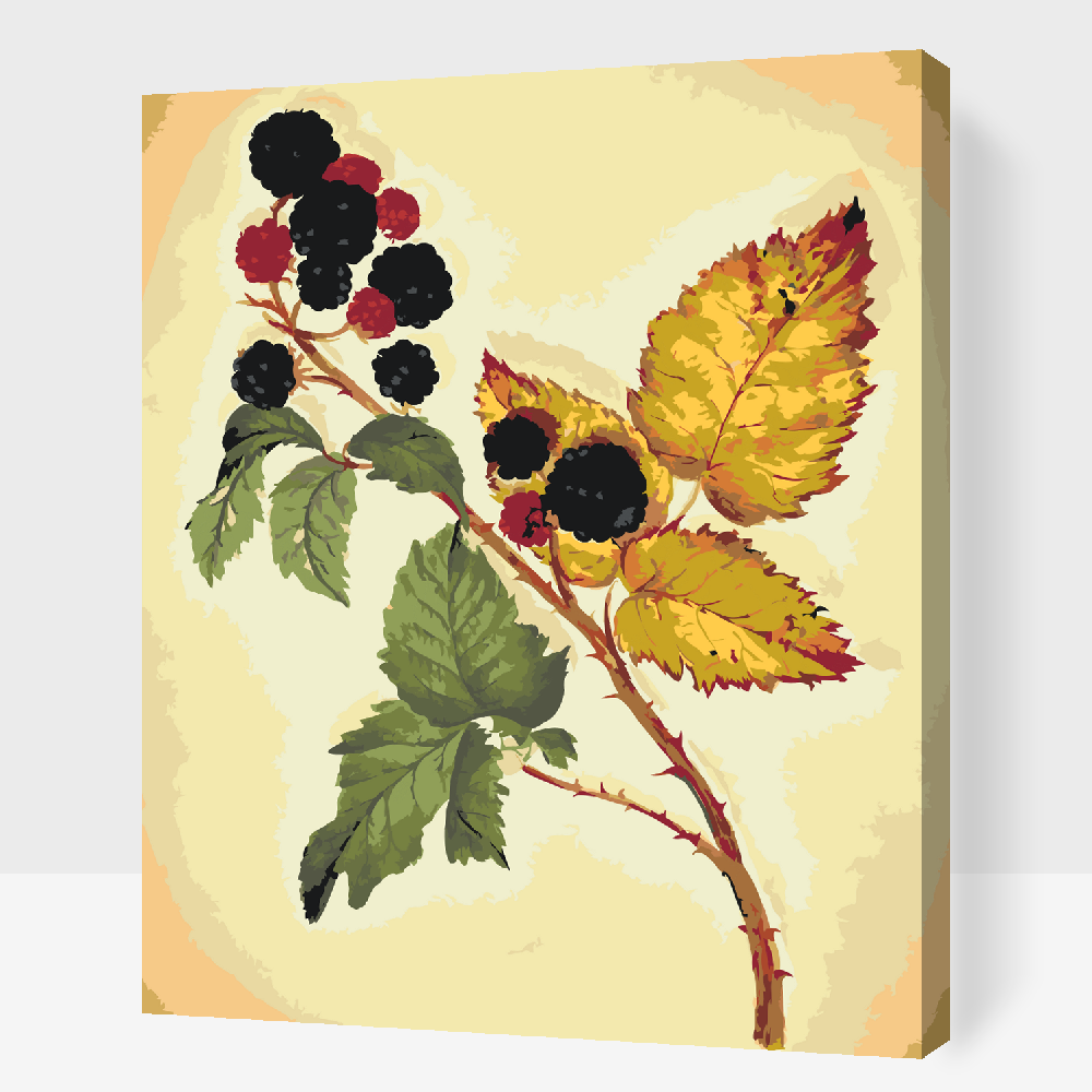 Paint by Numbers - Vintage Blackberry
