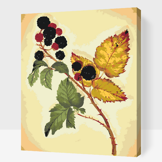 Paint by Numbers - Vintage Blackberry