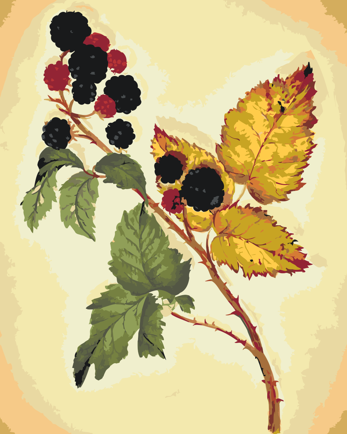 Paint by Numbers - Vintage Blackberry