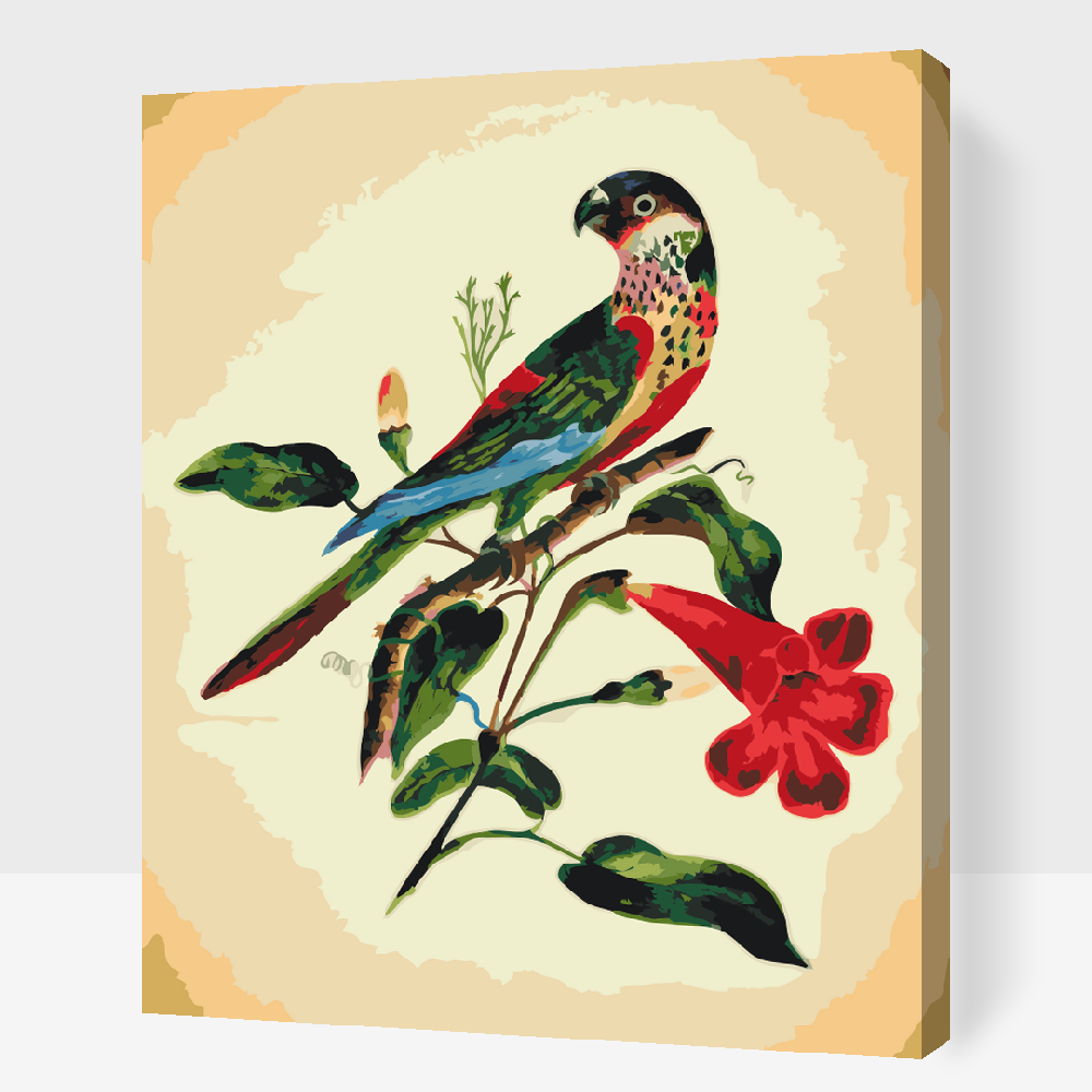 Paint by Numbers - Vintage Bird