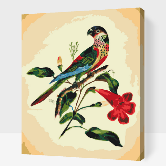 Paint by Numbers - Vintage Bird