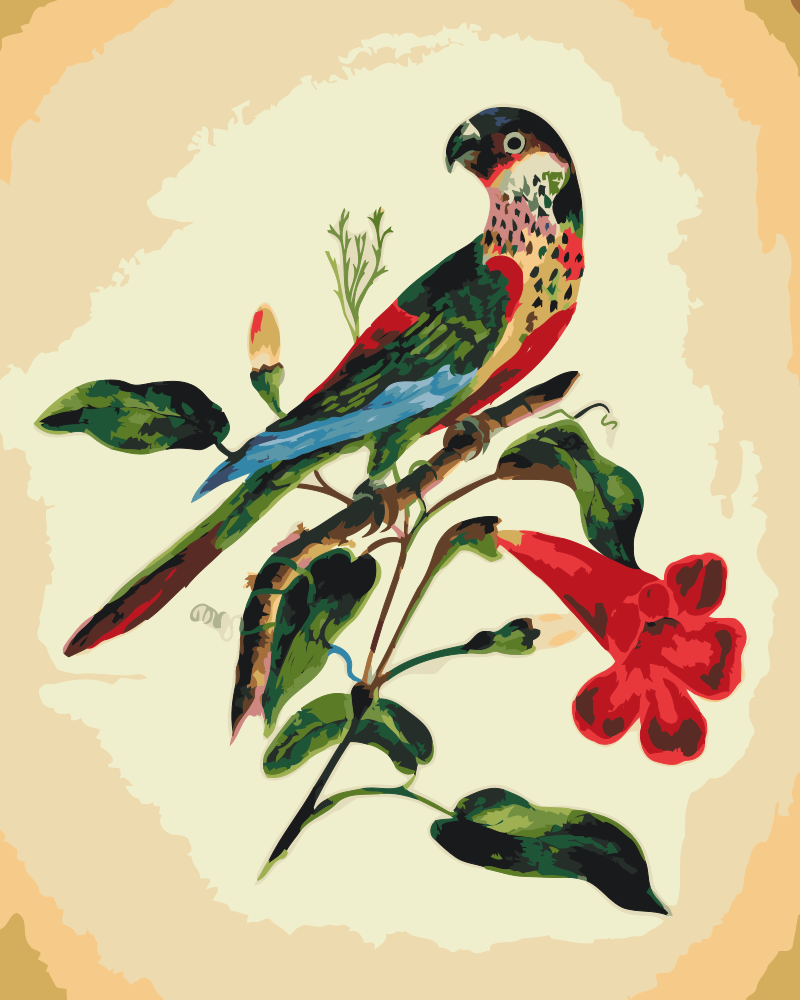 Paint by Numbers - Vintage Bird