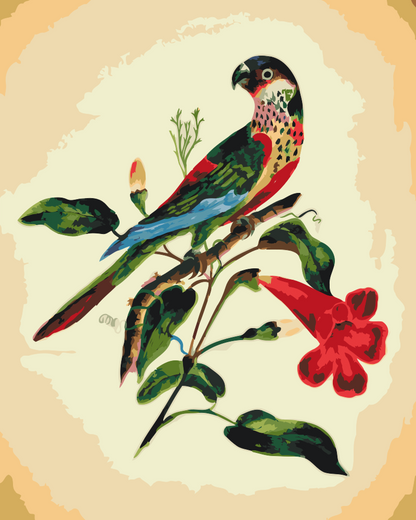Paint by Numbers - Vintage Bird