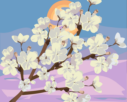 Paint by Numbers - Kirsebærblomster