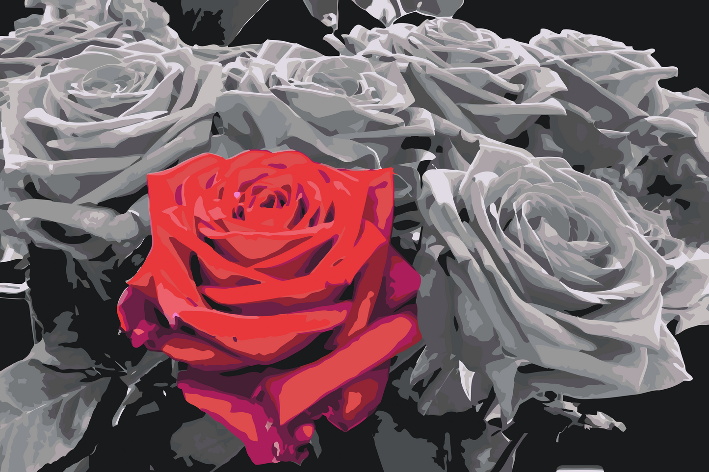 Paint by Numbers - Rød blomst i buket