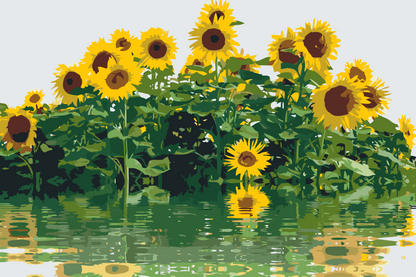 Paint by Numbers - Solsikke ved vandet