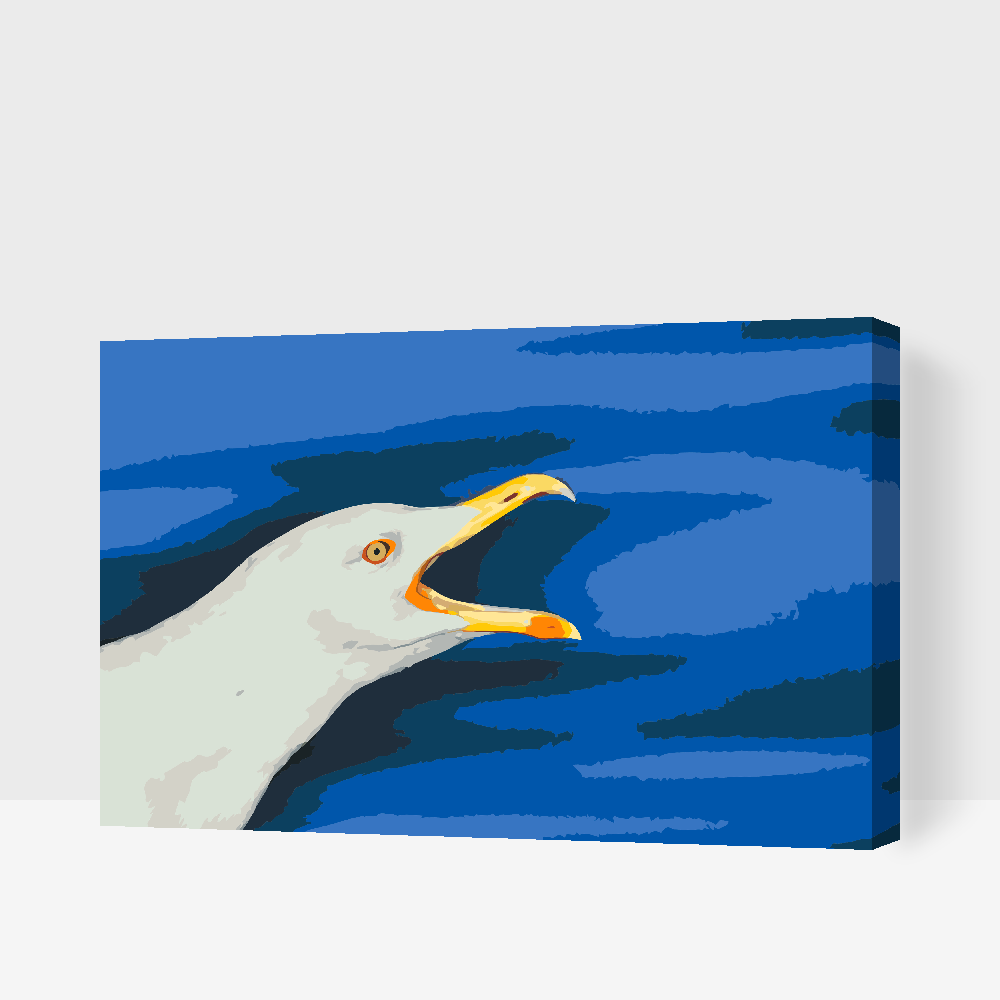 Paint by Numbers - Seagul