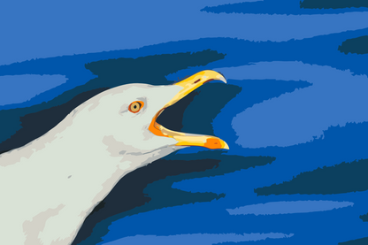 Paint by Numbers - Seagul