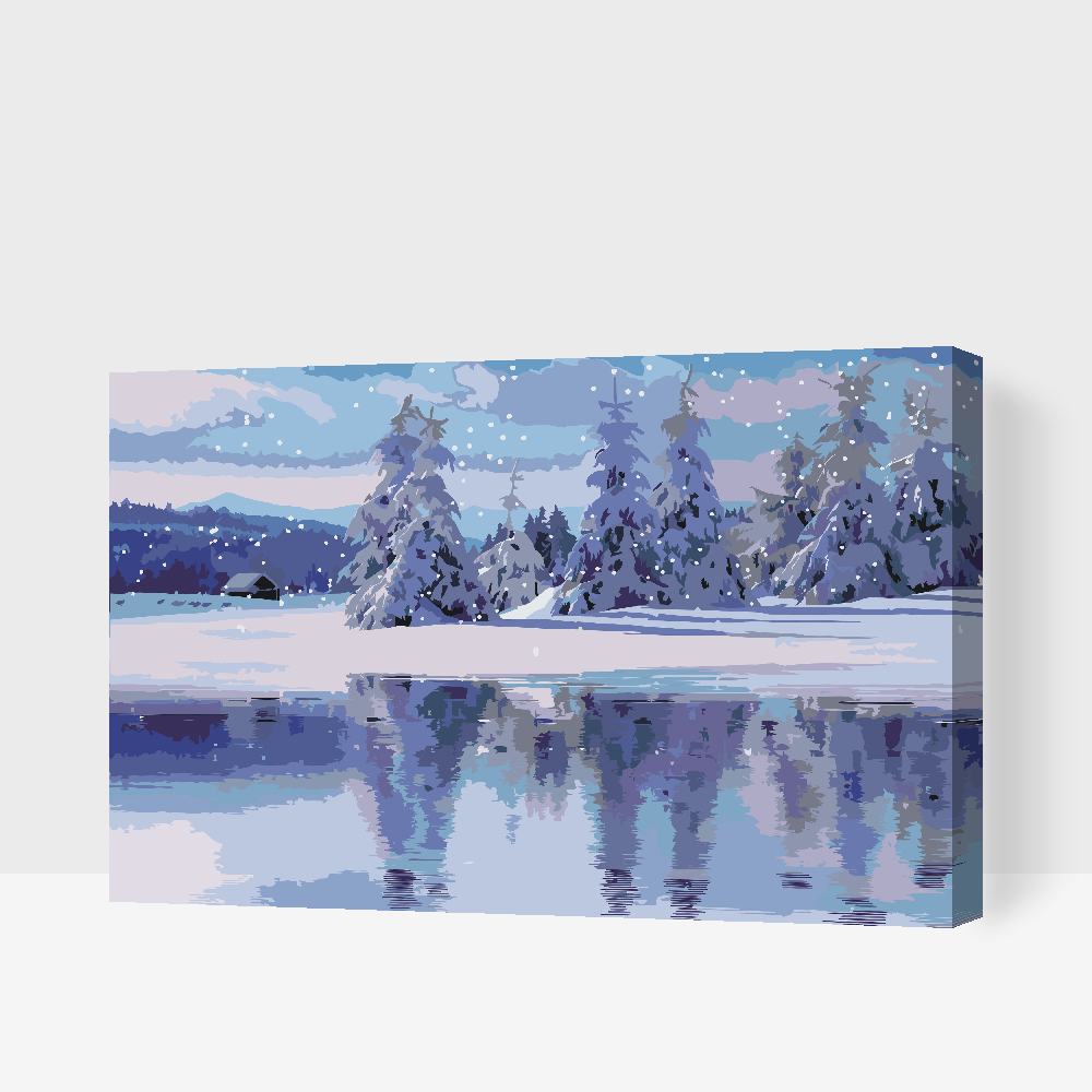 Paint by Numbers - Snedækket landskab