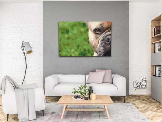Paint by Numbers - Fransk bulldog i haven