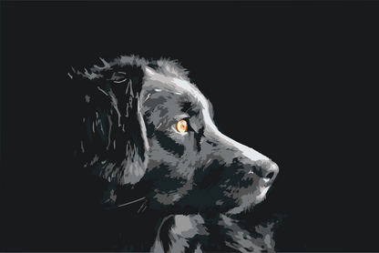 Paint by Numbers - Hundelook