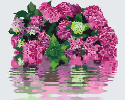 Paint by Numbers - Hortensia ved vandet