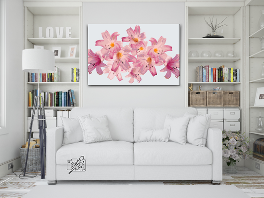 Paint by Numbers - Pink Lilies 2