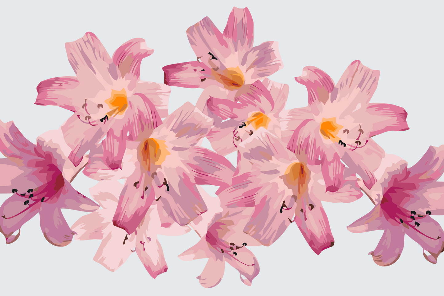 Paint by Numbers - Pink Lilies 2