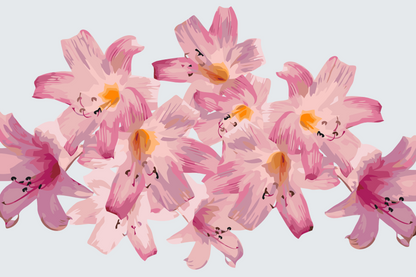 Paint by Numbers - Pink Lilies 2