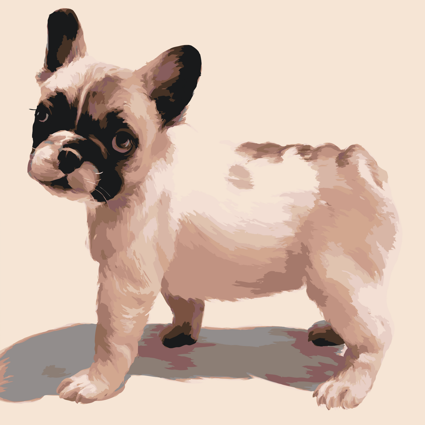 Paint by Numbers - Fransk bulldog