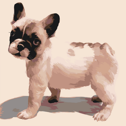 Paint by Numbers - Fransk bulldog