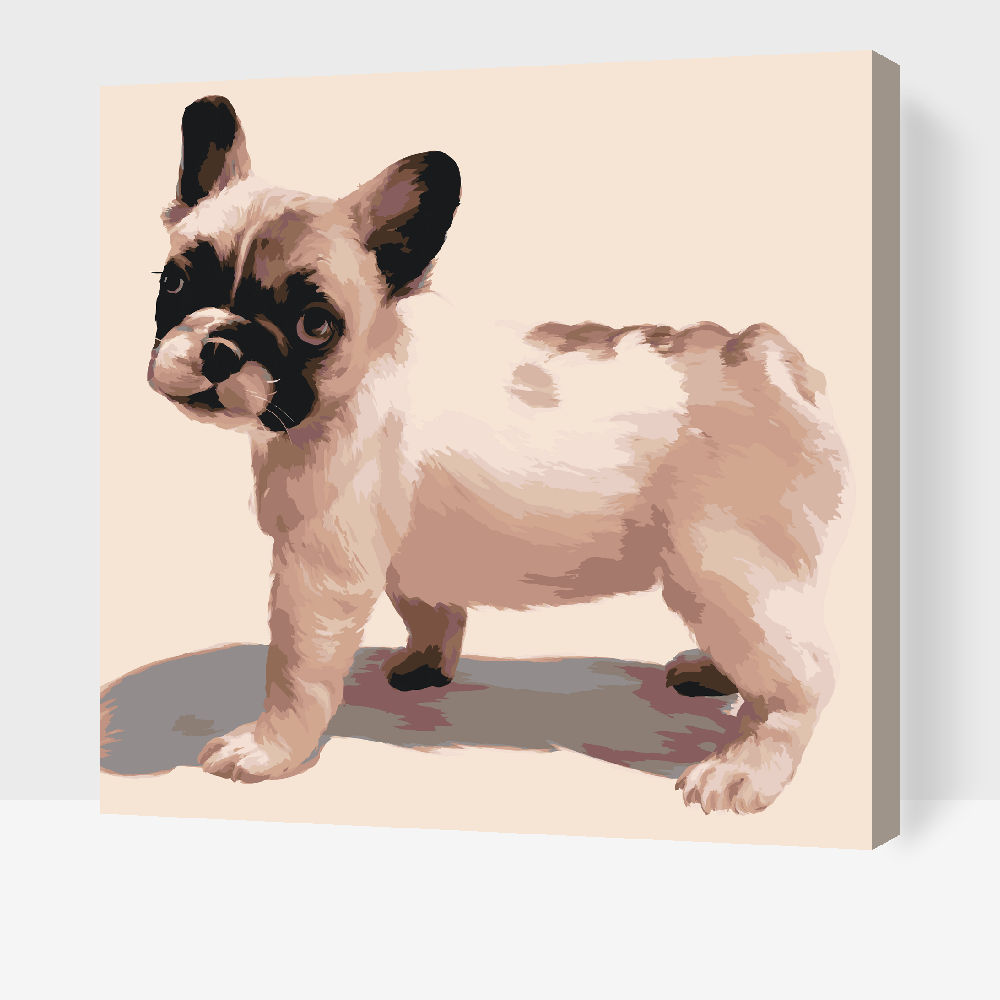 Paint by Numbers - Fransk bulldog