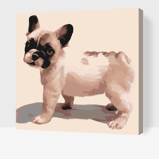 Paint by Numbers - Fransk bulldog