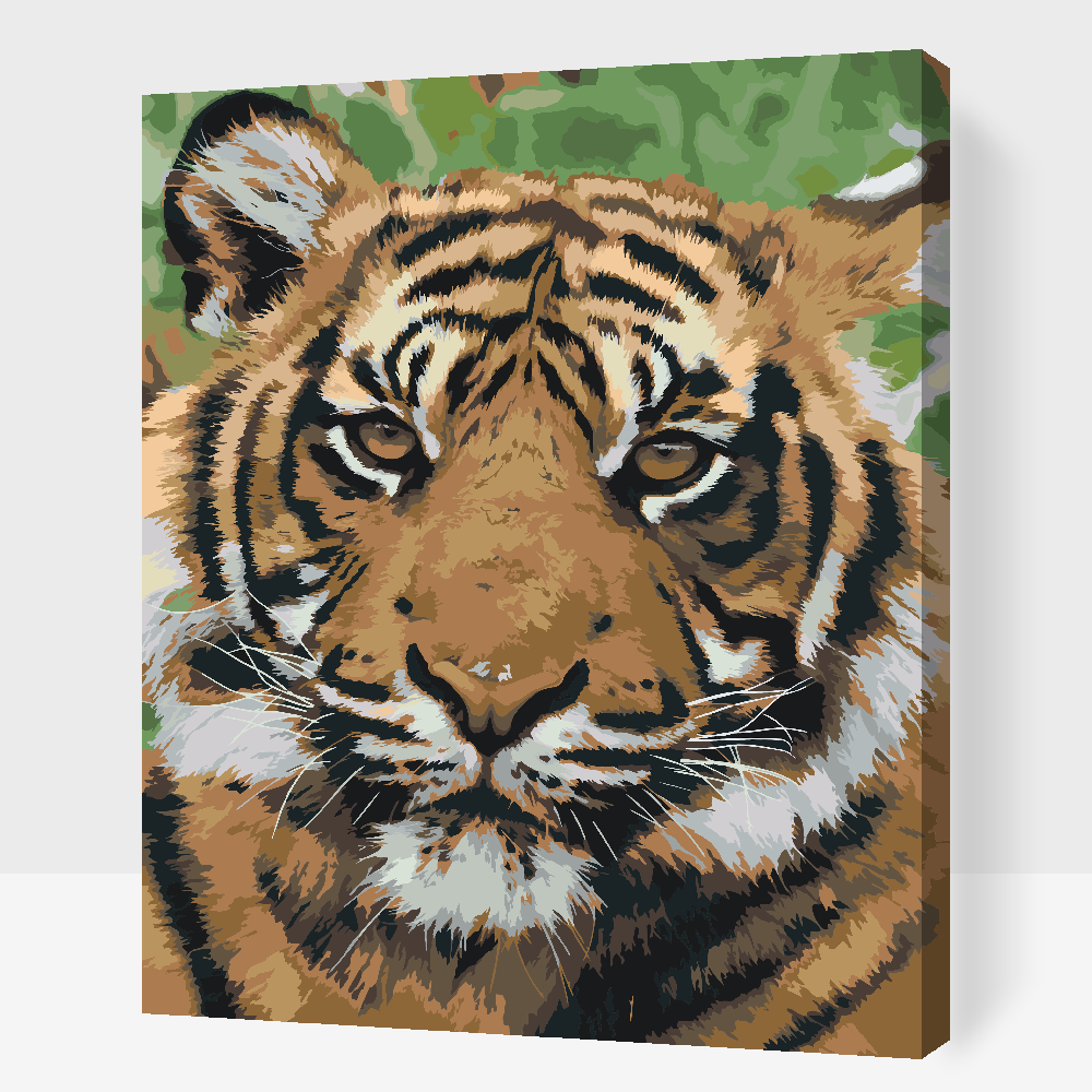 Paint by Numbers - Tiger Head 2