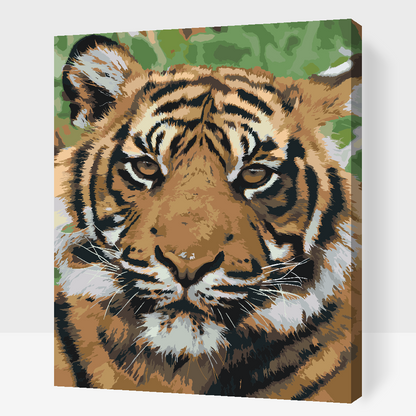 Paint by Numbers - Tiger Head 2