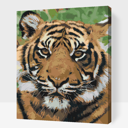 Paint by Numbers - Tiger Head 2