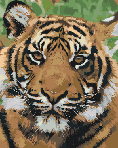 Paint by Numbers - Tiger Head 2