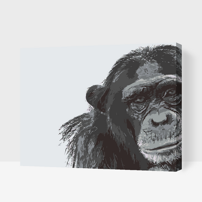 Paint by Numbers - Chimpanse