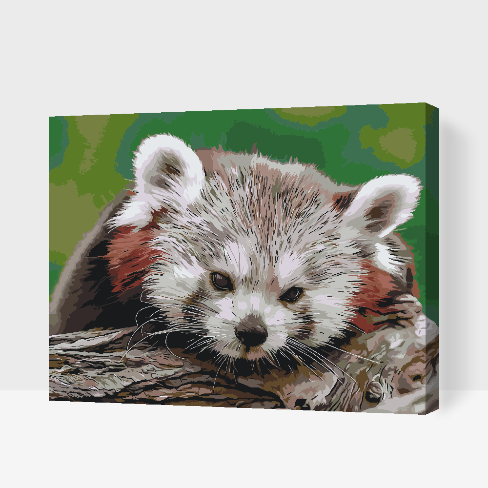 Paint by Numbers - Red Panda