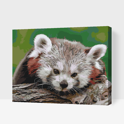 Paint by Numbers - Red Panda