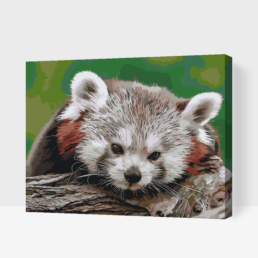 Paint by Numbers - Red Panda