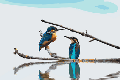 Paint by Numbers - Isfugl ved vandet