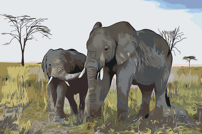 Paint by Numbers - Elefantunge med mor
