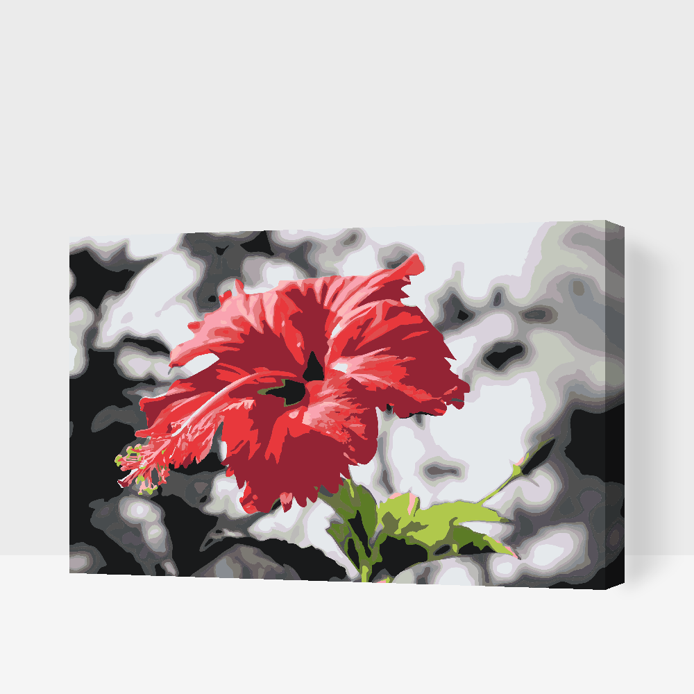 Paint by Numbers - Rød blomst i grå baggrund