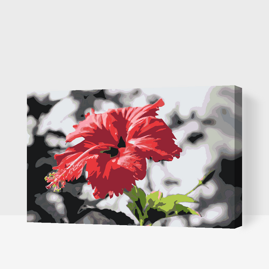 Paint by Numbers - Rød blomst i grå baggrund