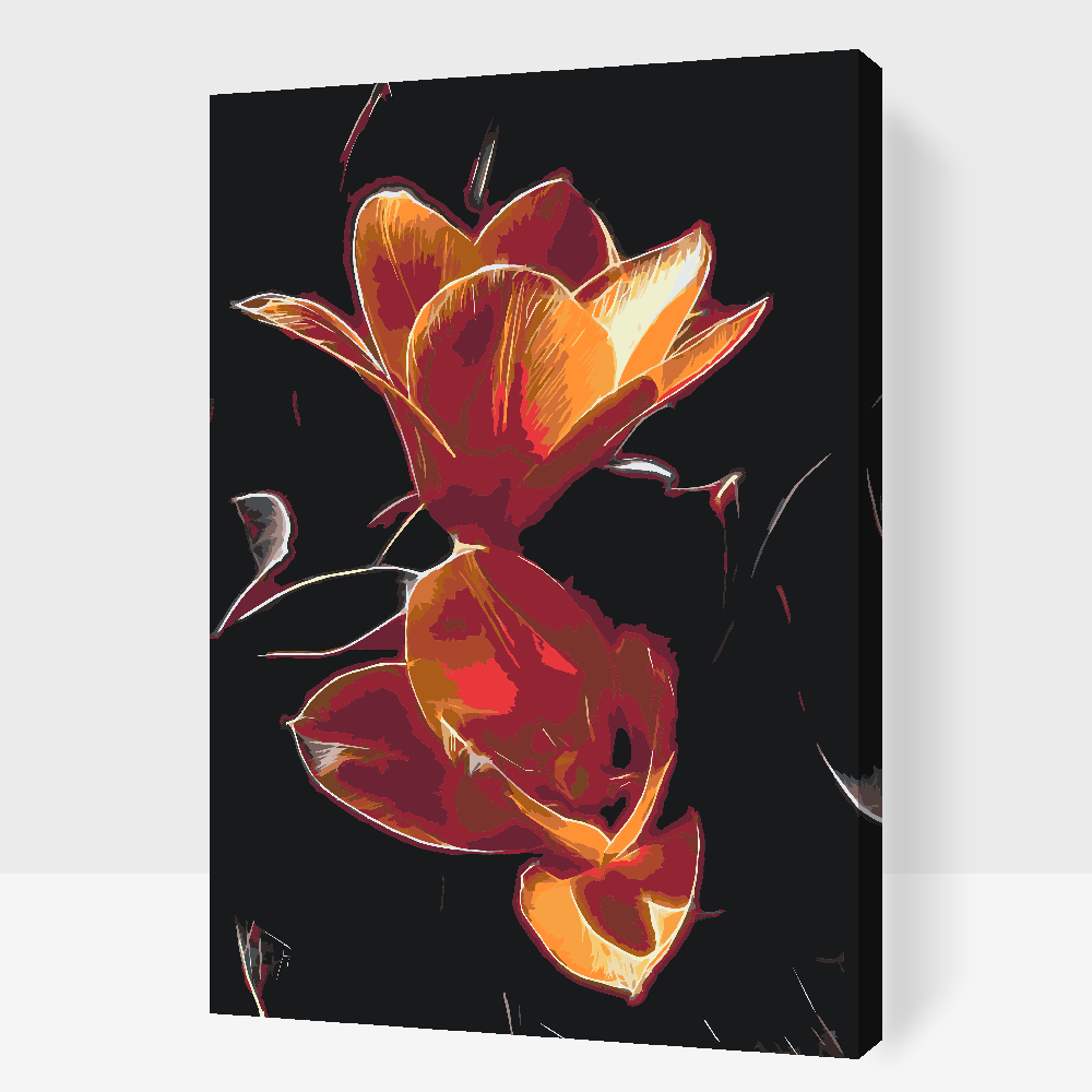 Paint by Numbers - Tulipan