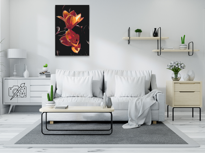 Paint by Numbers - Tulipan