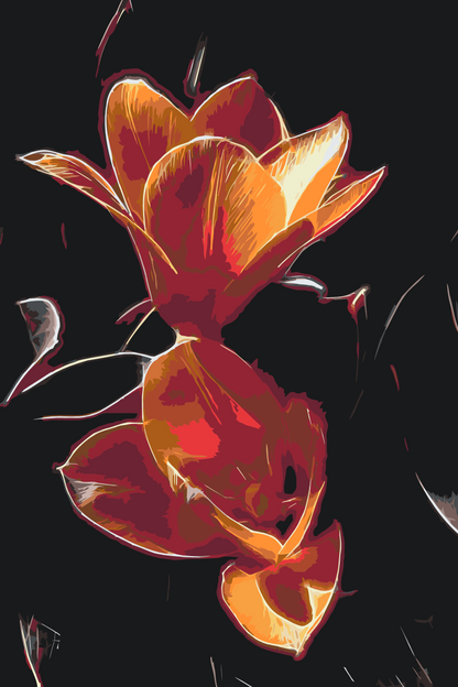 Paint by Numbers - Tulipan