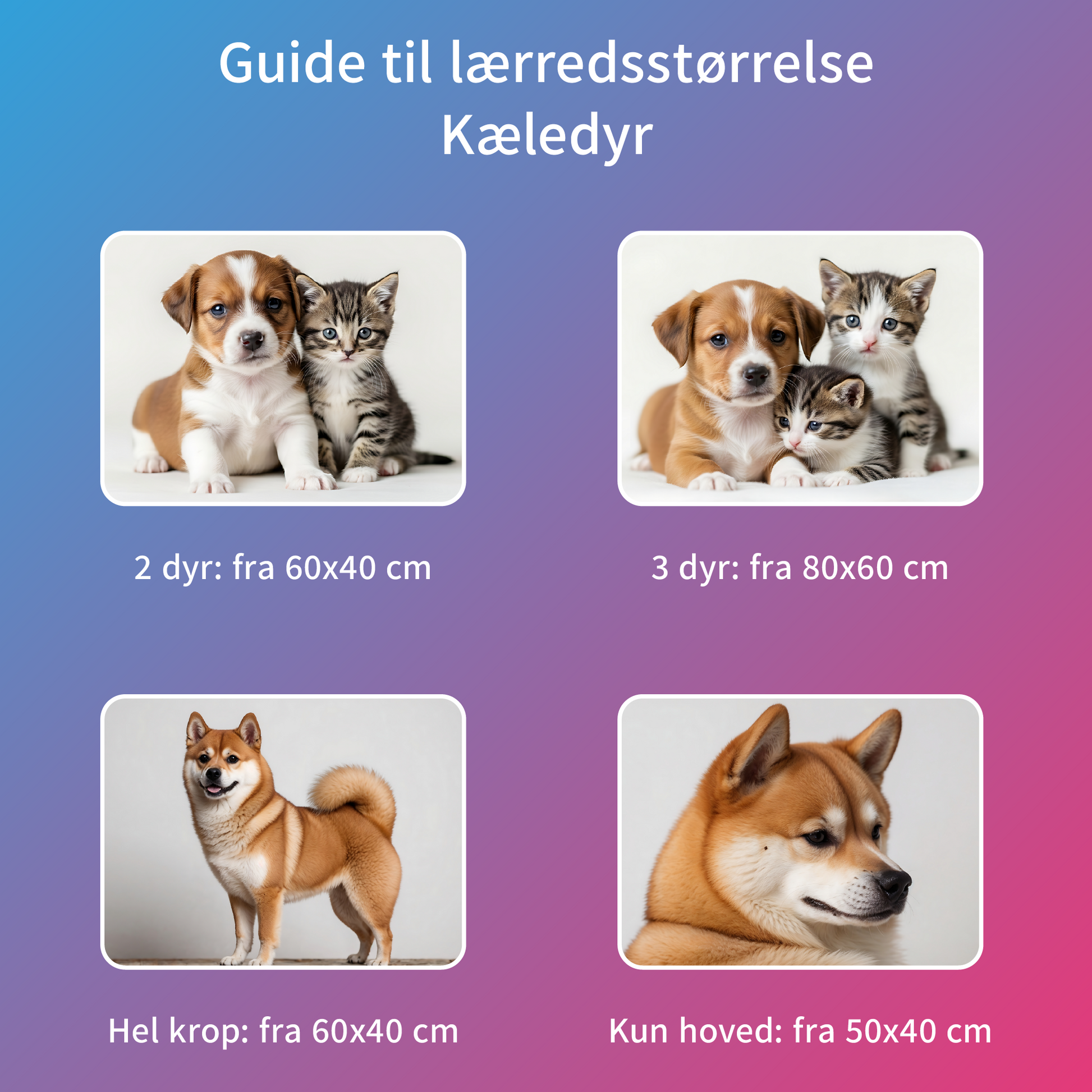 Guide til lærredstørrelse - antal kæledyr i forhold til lærredstørrelse med mal med prikker.