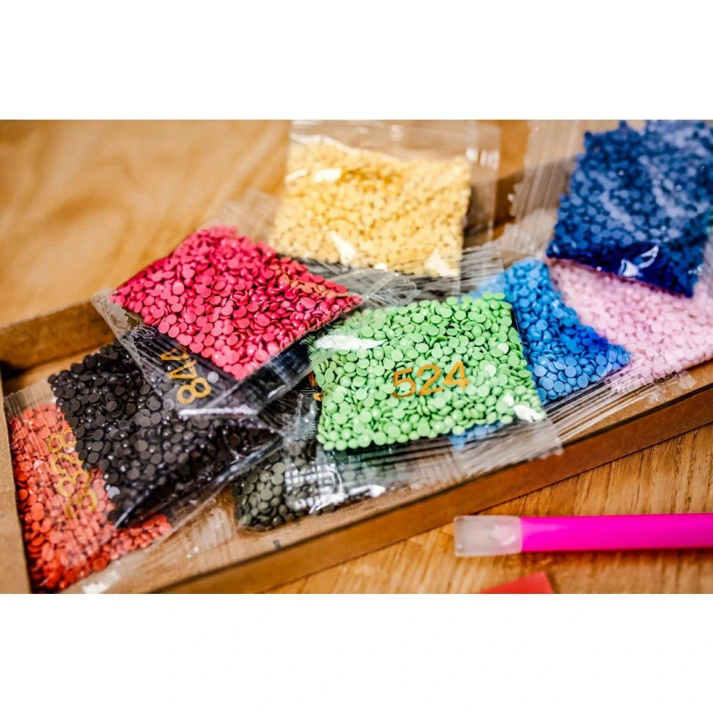 Diamond Paint - Genskab dit foto med diamanter - poser med sten