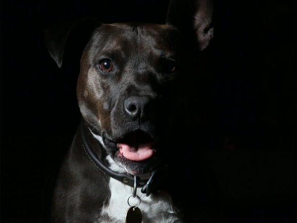 Eget foto eksempel dårligt 6