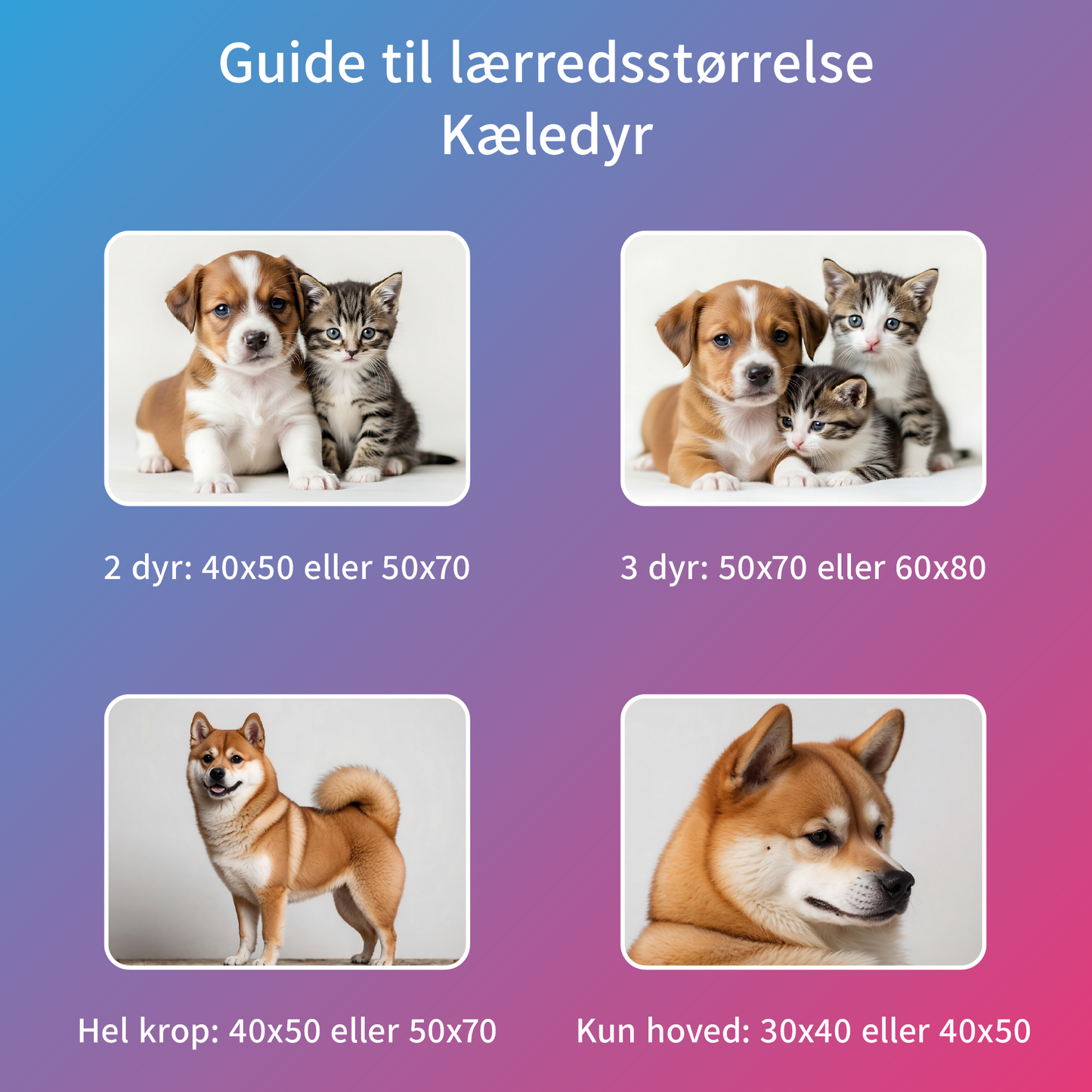 guide lærredstørrelse kæledyr