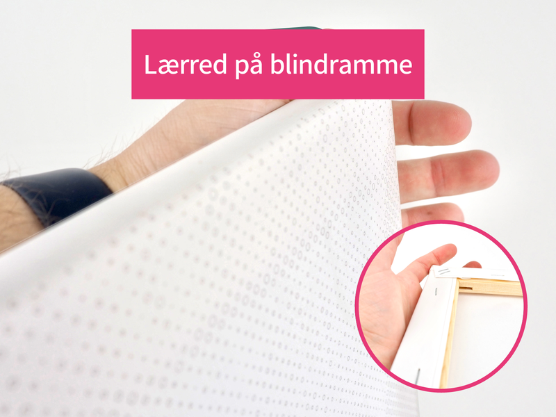 Mal med prikker - lærred på blindramme