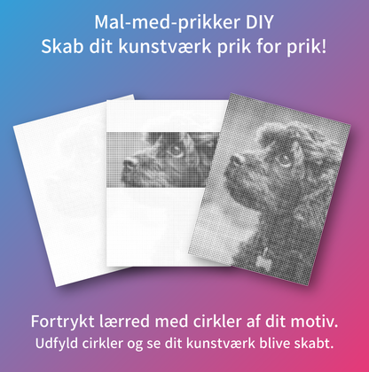 malmedprikker stadier